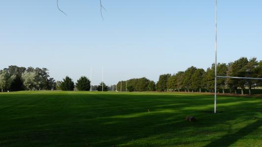 Se restringe el uso de las canchas 1 y 2 de rugby