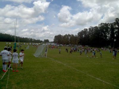 Rectificacion Fixture Intercolegiales