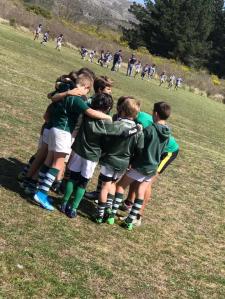 El semillero verde tuvo otro Encuentro